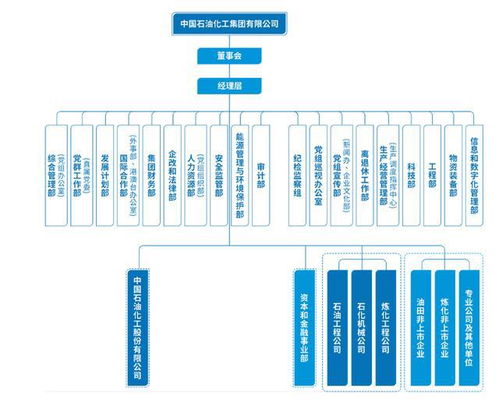 能源巨擘的领导核心与实业投资版图——中石油、中石化、中海油领导班子与战略布局全景透视